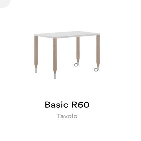 BASIC R60