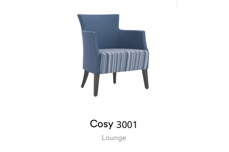 COSY 3001