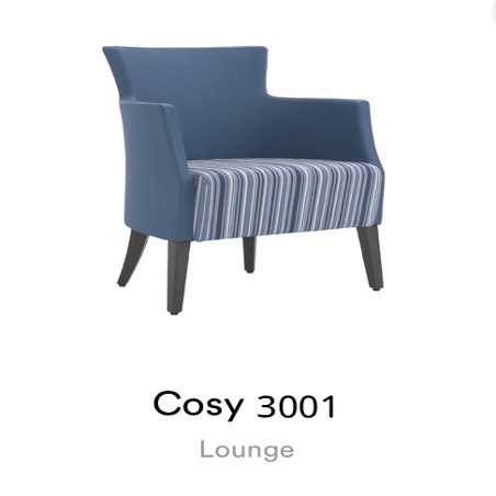 COSY 3001