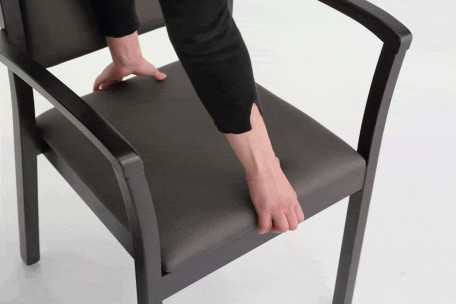 iris-sedia_sedile-asp_gif-1