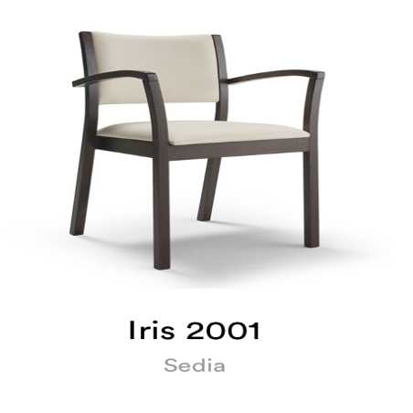 IRIS 2001