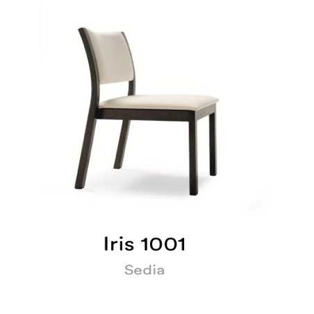 IRIS 1001