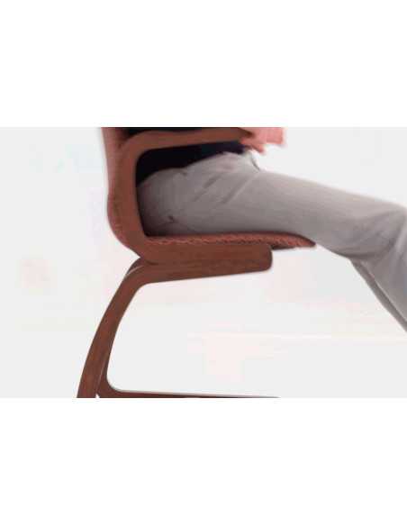 Silla Flexi 2001 | Armisen Care