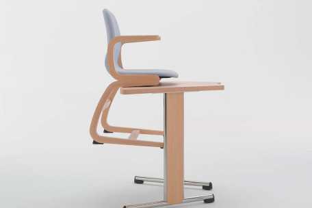 Silla Flexi 2001 | Armisen Care