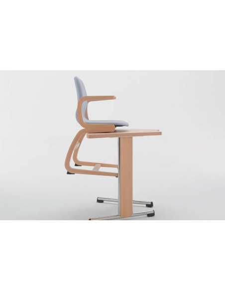 Silla Flexi 2001 | Armisen Care