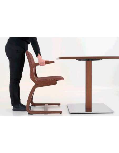 Silla Flexi 2001 | Armisen Care