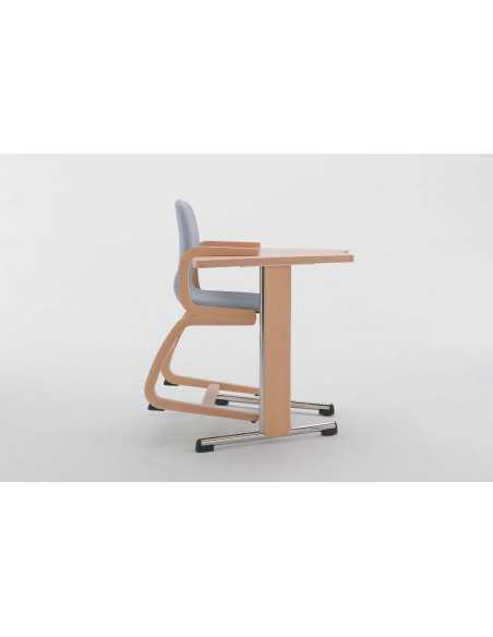 Silla Flexi 2001 | Armisen Care