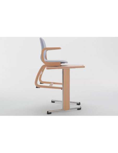 Silla Flexi 2001 | Armisen Care