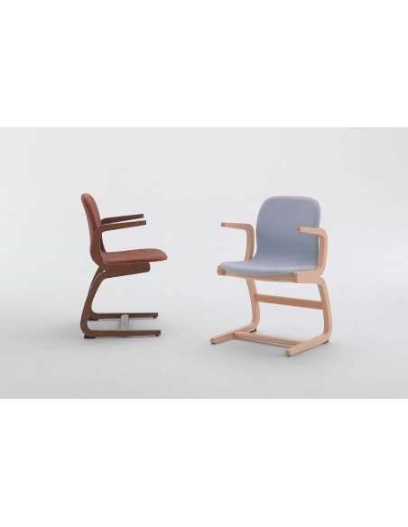 Silla Flexi 2001 | Armisen Care