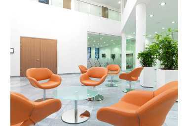 Silla Volpe varios colores | Armisen Care
