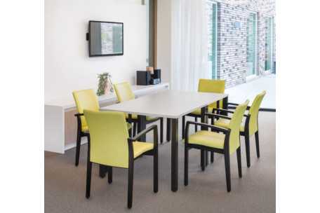 Mesa Pinta para uso geriátrico | Armisen Care