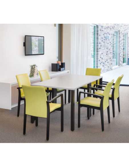 Mesa Pinta para uso geriátrico | Armisen Care