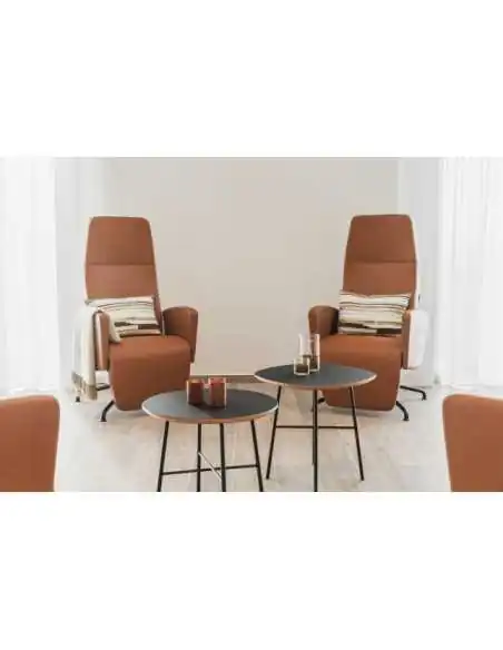 Sillón ZenSo E-lift con ayuda | Armisen Care