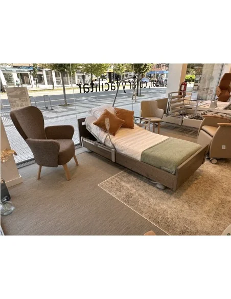 Cama Lago articulada con carro elevador | Armisen Care