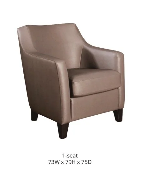 Butaca Ohio varios colores | Armisen Care