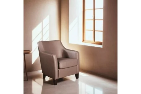 Butaca Ohio varios colores | Armisen Care