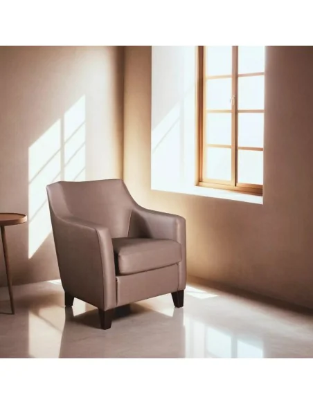 Butaca Ohio varios colores | Armisen Care