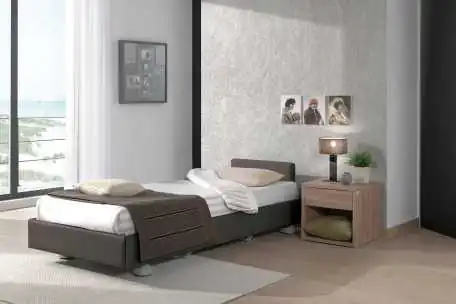 Cama Articulada con elevación y barras continuas | Armisen Care
