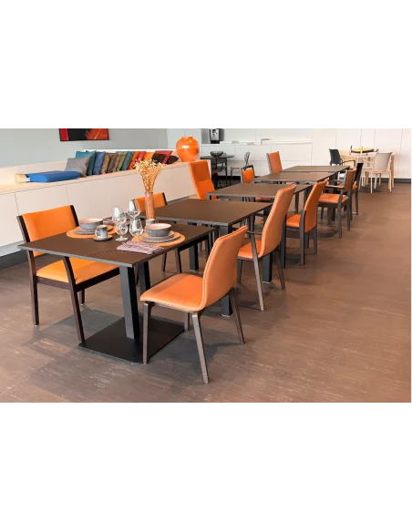 Propuestas Residencias | Armisen Care