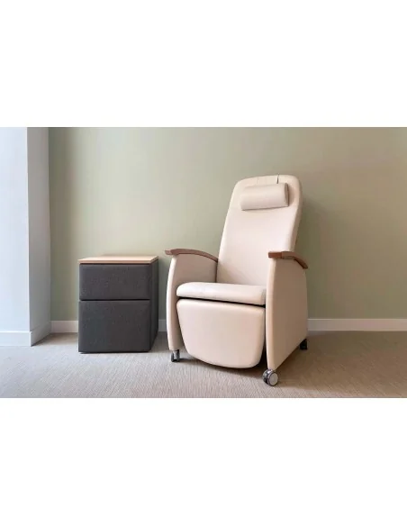 Propuestas Residencias | Armisen Care