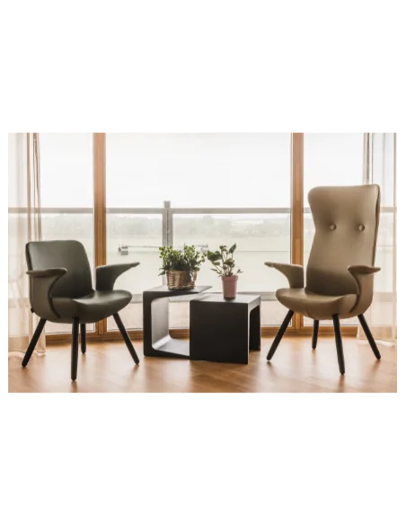 Propuestas Residencias | Armisen Care