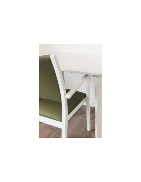 Propuestas Residencias | Armisen Care