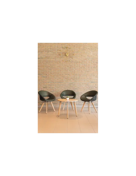 Propuestas Residencias | Armisen Care