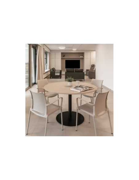 Propuestas Residencias | Armisen Care