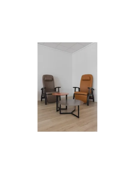 Propuestas Residencias | Armisen Care