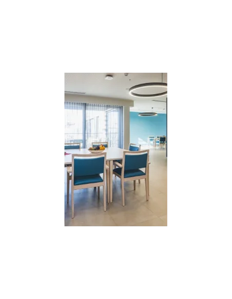 Propuestas Residencias | Armisen Care