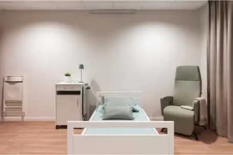 Cama Articulada Eléctrica | Armisen Care