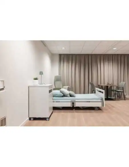 Cama Articulada Eléctrica | Armisen Care
