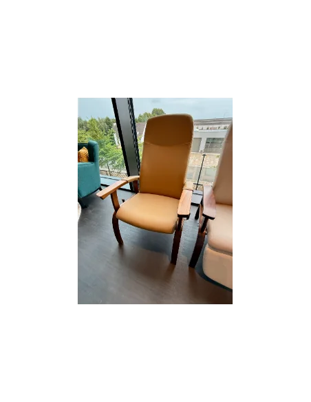 Sillón Talo | Armisen Care