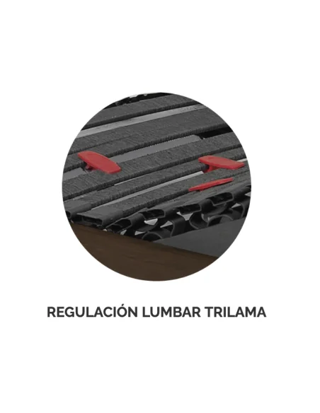 Somier Platinum Eléctrico con Plataformas Hytrel | Armisen Care