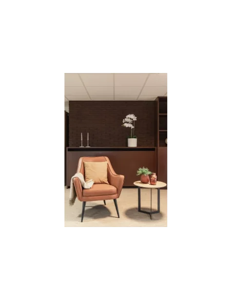 ATENCIÓN DOMICILIARIA: ADAPTA TU VIVIENDA | Armisen Care