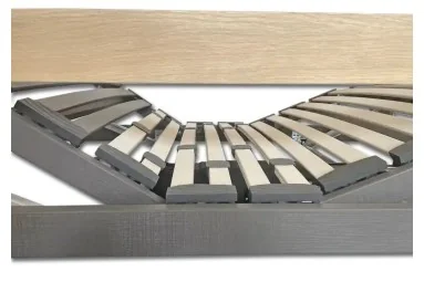 Cama IRIS con barandillas de acero y elevación eléctrica| Armisen Care 2