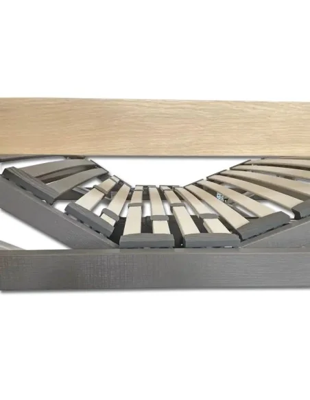 Cama Iris Articulada con Elevación y Regulación Lumbar | Armisen Care