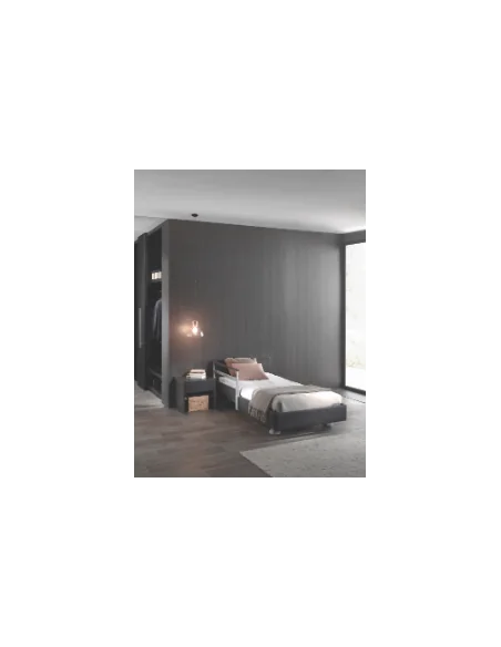 Barandillas TWIN partidas abatibles | Armisen Care