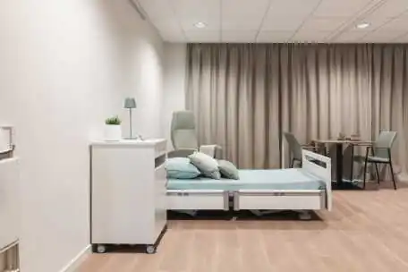 Cama Articulada Eléctrica | Armisen Care