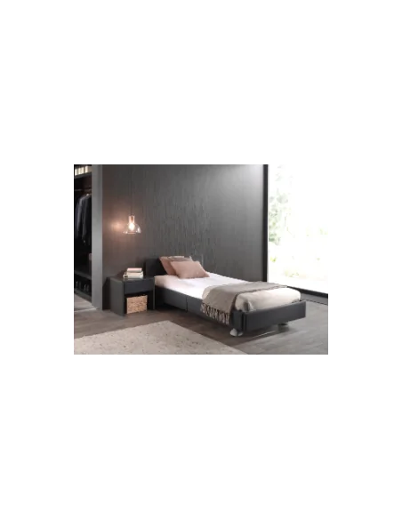 Cama Articulada Eléctrica | Armisen Care