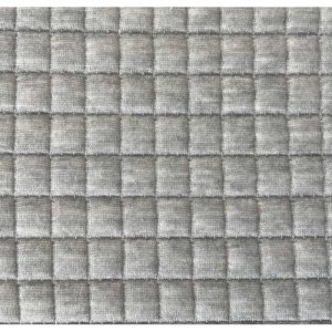 Pretector_Lateral_04