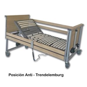 CAMA SENA ELÉCTRICA CON BARANDAS DE MADERA