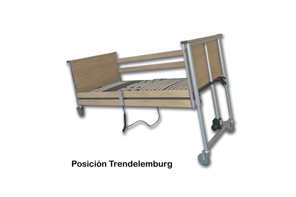 CAMA SENA ELÉCTRICA CON BARANDAS DE MADERA