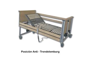 CAMA SENA ELÉCTRICA CON BARANDAS DE MADERA